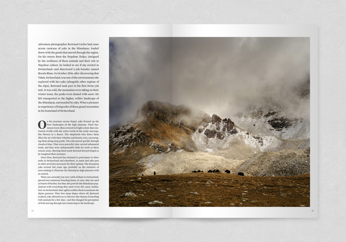 Call of the Mountains // Sidetracked Beyond