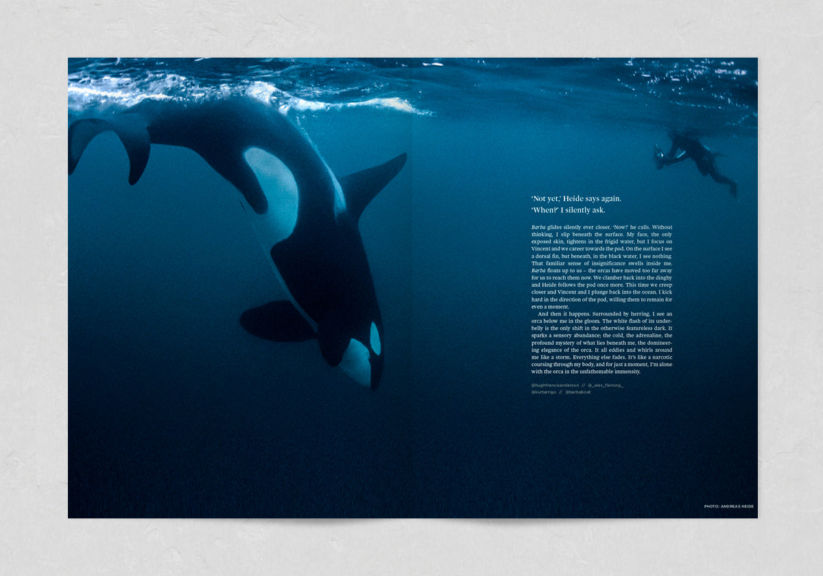 Sidetracked Volume 17