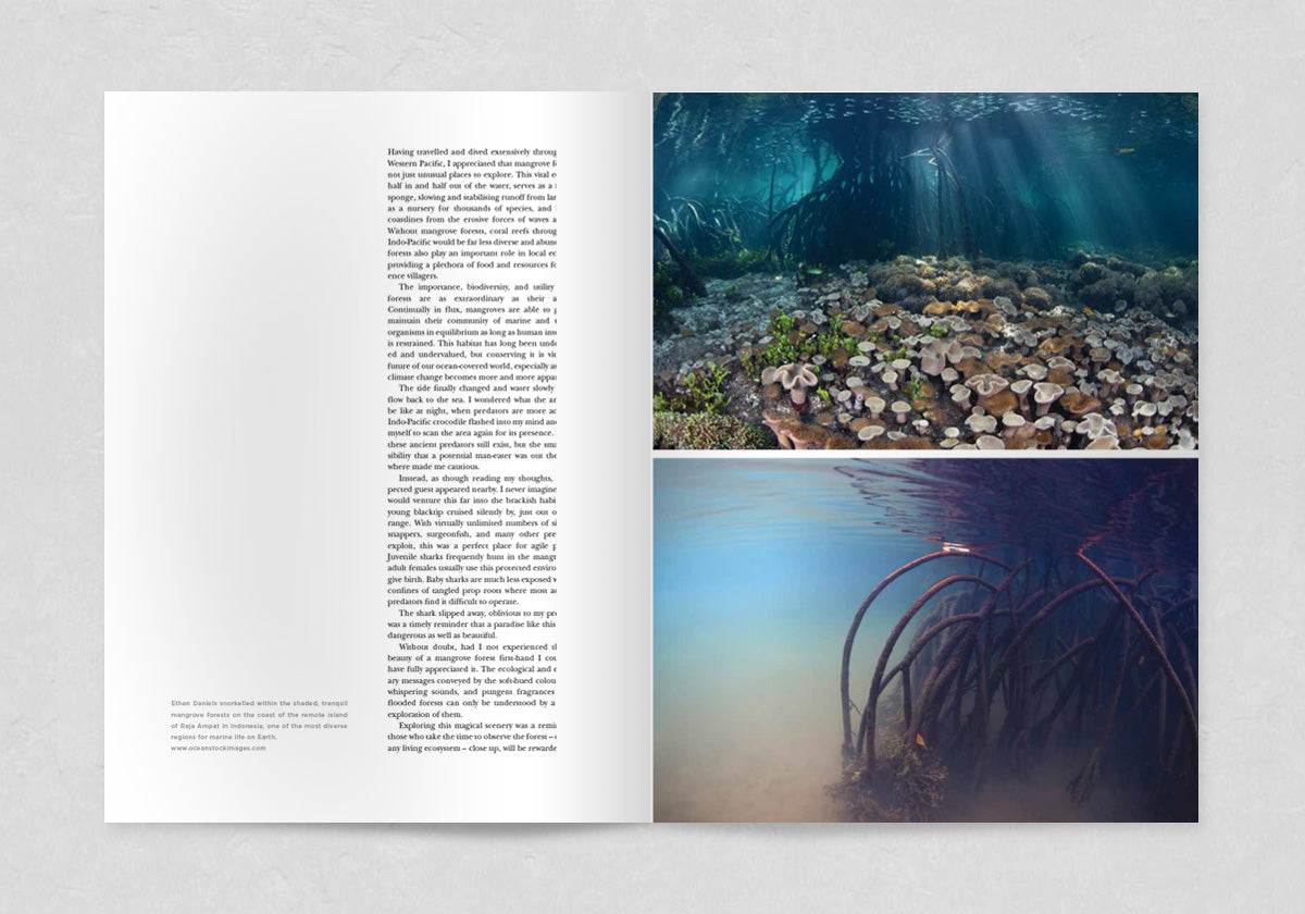 Sidetracked Volume 04