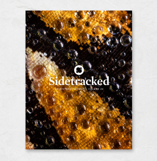 Sidetracked Volume 24
