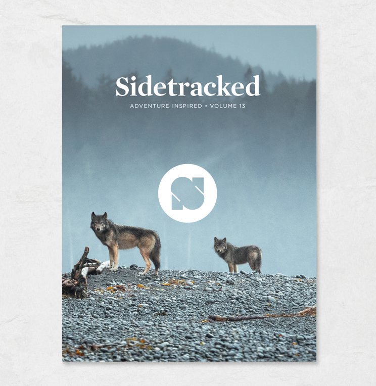Sidetracked Volume 13