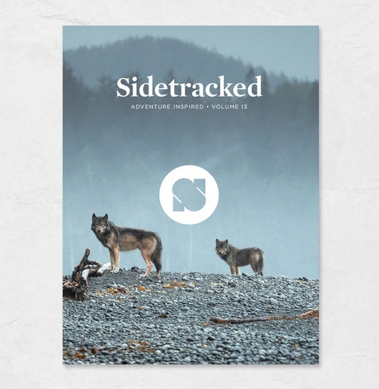 Sidetracked Volume 13