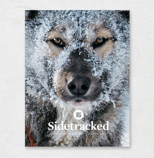 Sidetracked Volume 29