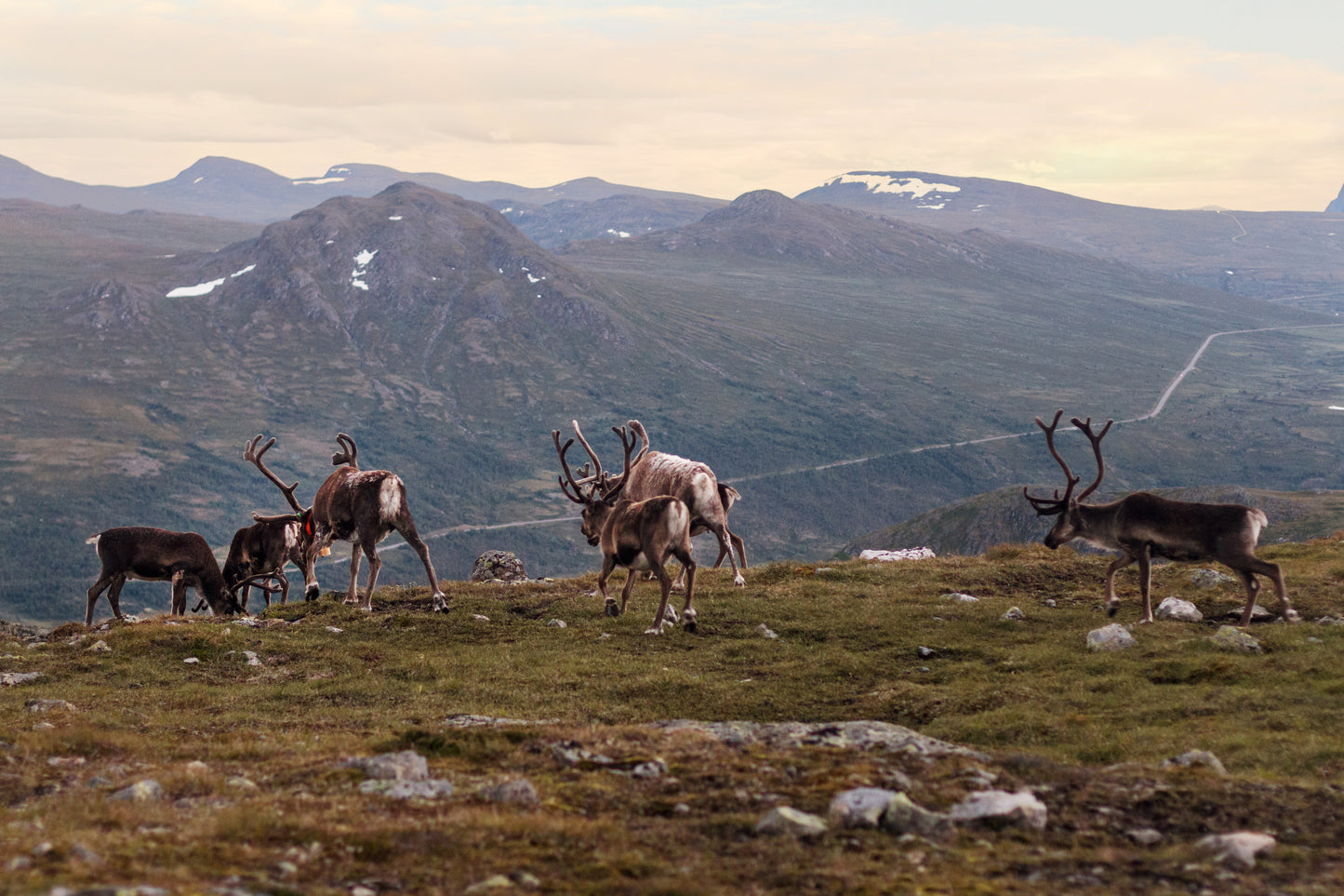 Wanderlust Nordics