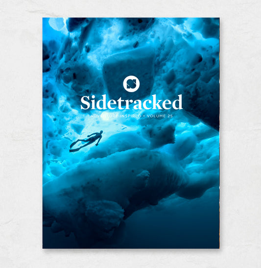 Sidetracked Volume 25