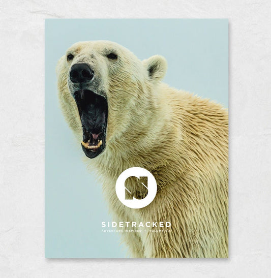 Sidetracked Volume 06